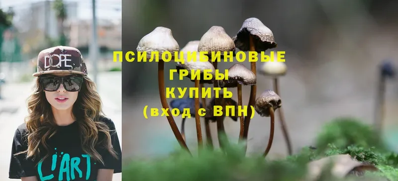 закладка  Муравленко  мега вход  Галлюциногенные грибы GOLDEN TEACHER 